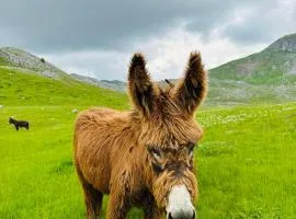 Planinska kuca Bjelasnica