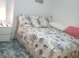 Huge Historic Home