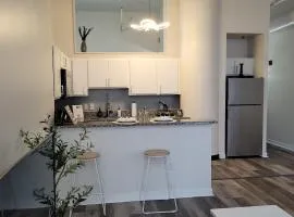 Downtown Indy Lucas Oil- Conv Center Skywalk#2