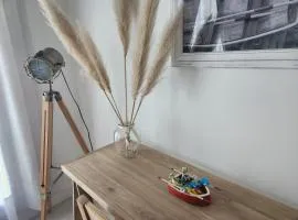 Tigre Studio Apartment