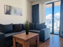 Delux apartment for 6 guest, new gudauri