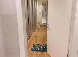 Davila Luxury Home