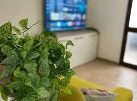 Ciuri di Sicilia Apartment