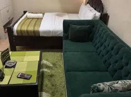 horizon furnished apartments