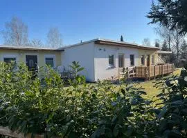 Ferienhaus 46 oder 47 oder 48 am Zeulenrodaer Meer