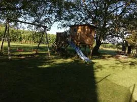 Ferienwohnungen Waldmann