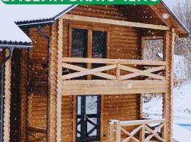 SVOI Chalet，位于维什卡的木屋