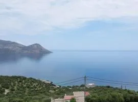 Panorama View Family House