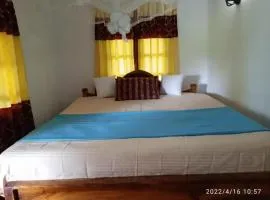 Blue night homestay