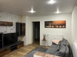 Fewo An der Weser mit Sauna