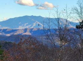 Lazy Bear Cabin, hotel a Sevierville