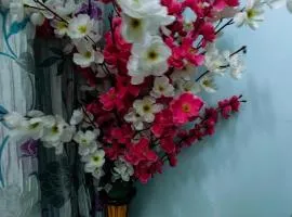 Easy View 2Bhk villa