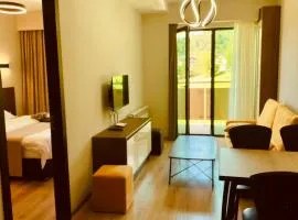 Bakuriani, crystal residence 405 room