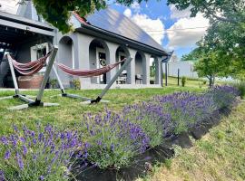 Völgyhíd Village Balaton, hotel in Kőröshegy
