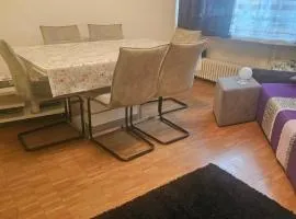 3 und halb zimmer Wohnung Birsfelden