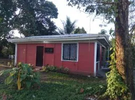 Monkey Beach House