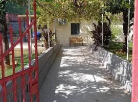 Octopus Garden, Poros-Kefalonia