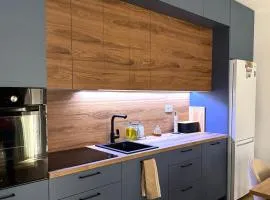 Apartment Simovic