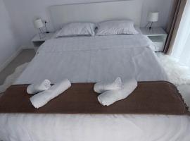 Cora Apartment, apartment in Baia Mare