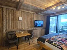 Corso Harrachov Apartment 303