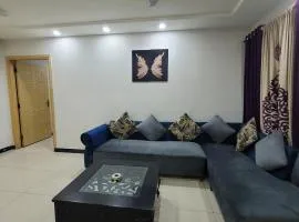 Comfort Haven