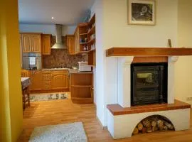 Spacious apartment with a fireplace in the city