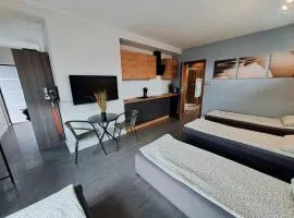 Apartament studio PIANO