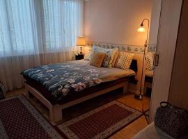 Refuge du cotidian, hotell sihtkohas Vevey