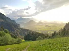 Landlust am See