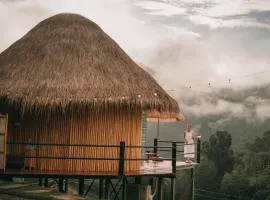 Cozy Wild