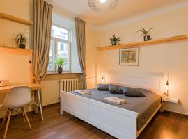 Cozy studio and standard apartments in the heart of Oldtown