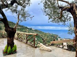 The wind rose, hotel in SantʼAgata sui Due Golfi