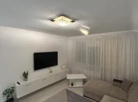 Apartament Central