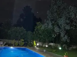 Lumini Gardens