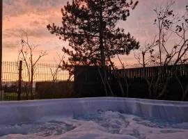 Chalet JACUZZI/spa privatif PERCE NEIGE