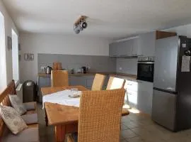 Ferienhaus Alte Wagnerei Steinatal - Ühlingen-Birkendorf