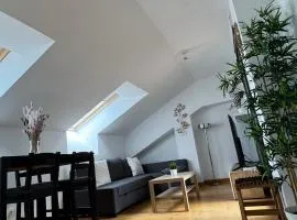 Apartamentos Suites Olmedo