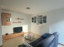 Ferienwohnung im Herzen von Walldürn