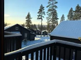 Fjällbädden Idre Ski-in Ski-out 10