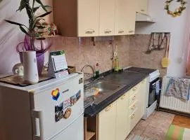 Apartman Pašićeva