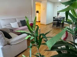 Apartamentos Suites Iscar