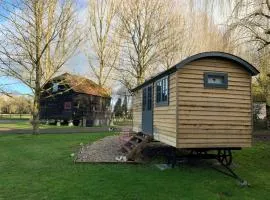 Luxury shepherd hut on rare breed smallholding