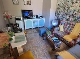 Durbanville CPT Pet Friendly, Self-Catering
