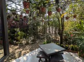 Homestay Mộc Nhi