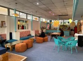 Serendipity Hostel & Cats Cafe