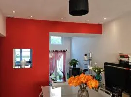 Modern duplex with garden