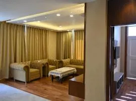 Aayaan Roy villa