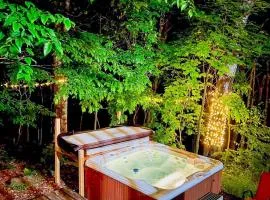 Log cabin with HOT TUB and view