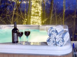 Log cabin with HOT TUB and view, hotel in La Minerve