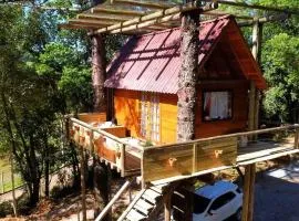 Casa na árvore com hidro, piscina, trilha, cavalo
